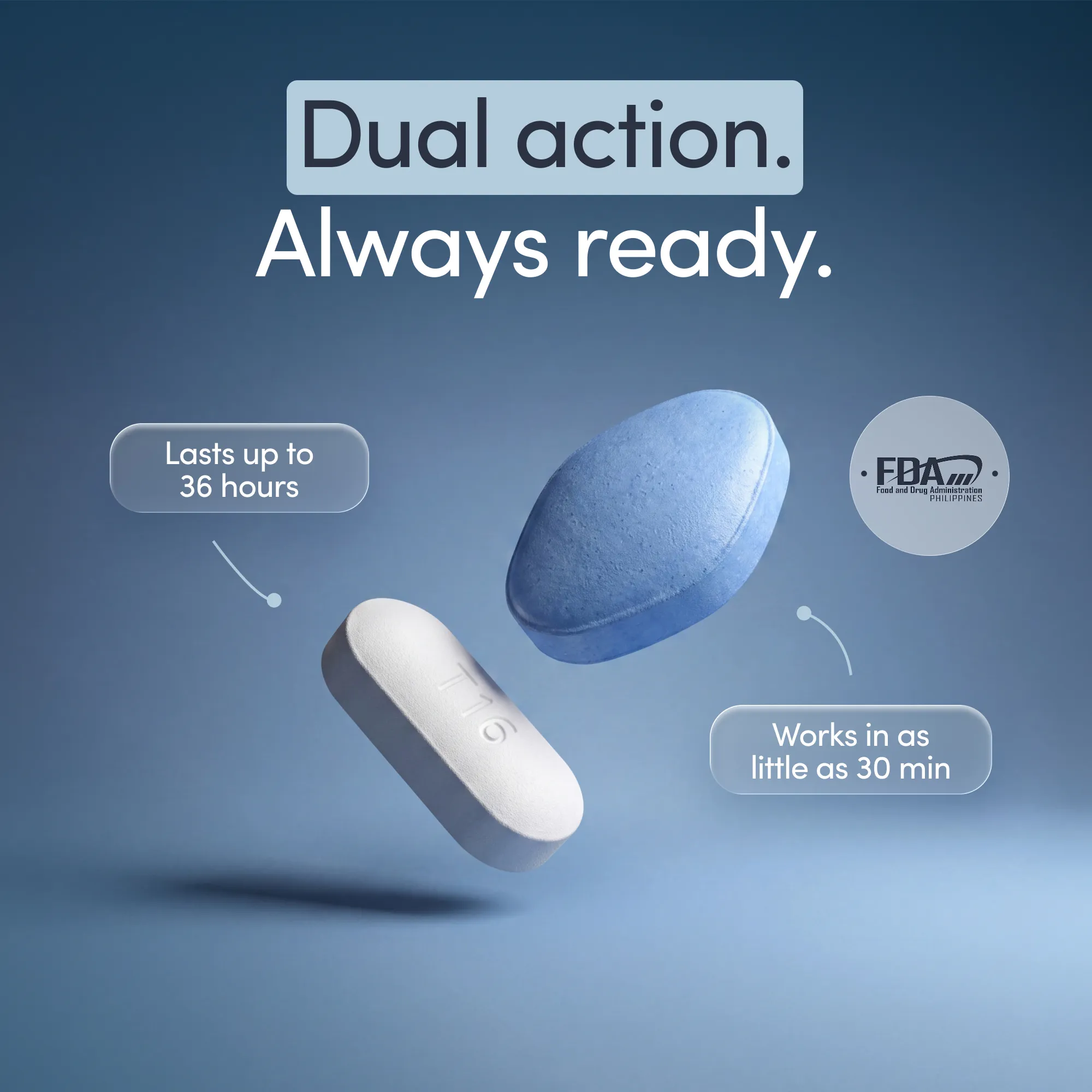 Dual Bundle