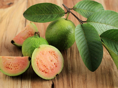 Guava Leaves and Sex: Are the Benefits Backed by Science in the Philippines? - andyou.ph