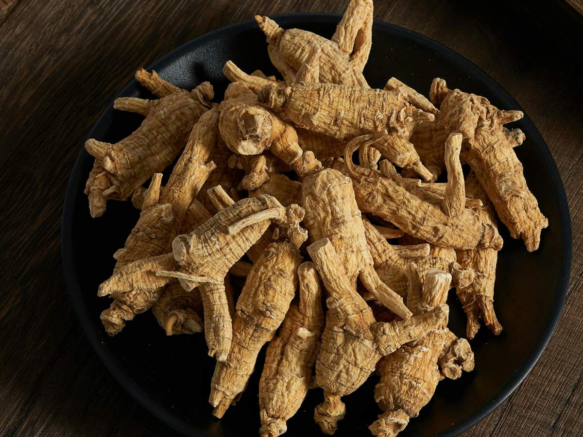 Dried ginseng roots on a black plate. Explore natural remedies for erectile dysfunction and their effectiveness for Filipinos at andyou.ph.